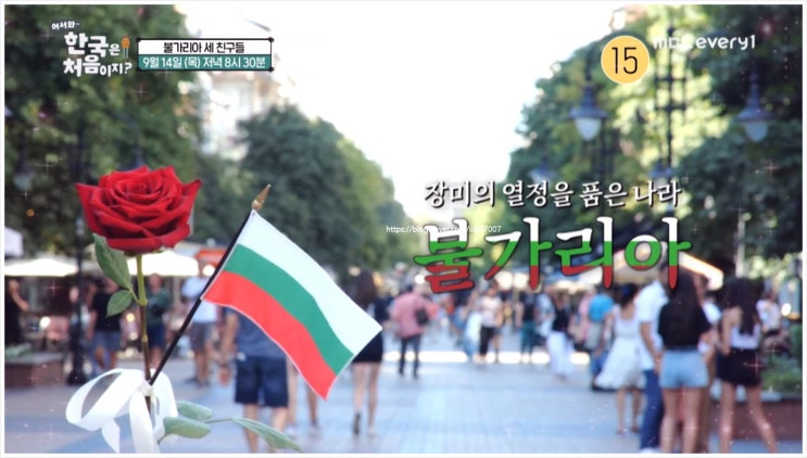  어서와한국은처음이지 313회 불가리아 비빔밥 경복궁 티호미르 즐라트코 플라멘 직업 근정전 광화문 김준현 이현이 알베르토 몬디 조선총독부 청사 철거 궁능유적본부 한국전통문화