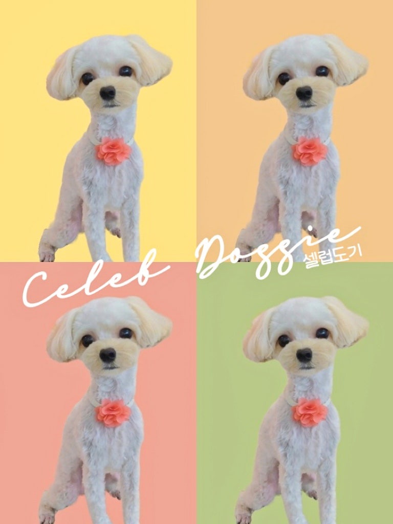 사진 3