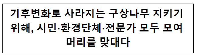 기후변화로 사라지는 구상나무 지키기 위해, 시민·환경단체·전문가 모두 모여 머리를 맞대다 기후변화로 사라지는 구상나무 지키기 위해, 시민·환경단체·전문가 모두 모여 머리를 맞대다