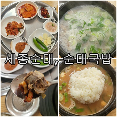  세종 한솔동 세종 순대 정통 순대 국밥 맛보기 재방문 후기 내돈내산