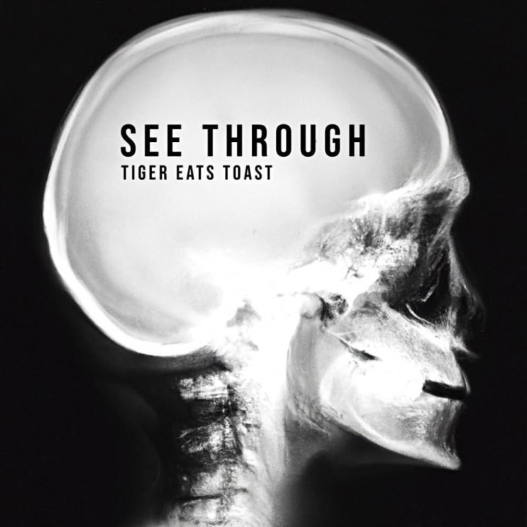 TIGER EATS TOAST - See Through [노래가사, 듣기, Audio]