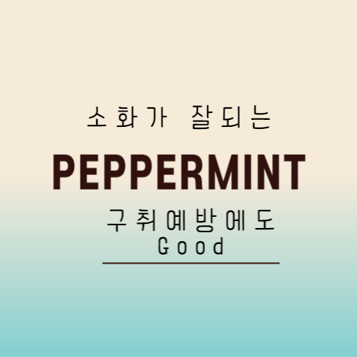  천연소화제 페퍼민트차 구취예방에도 Good