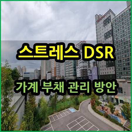  스트레스 DSR 적용 가계 부채 관리 방안
