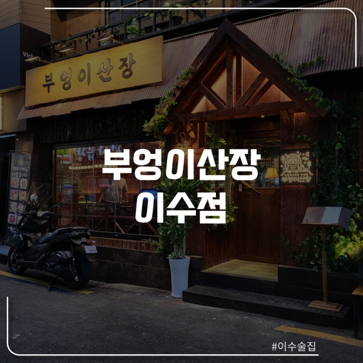  이수 핫한 술집 "부엉이 산장"