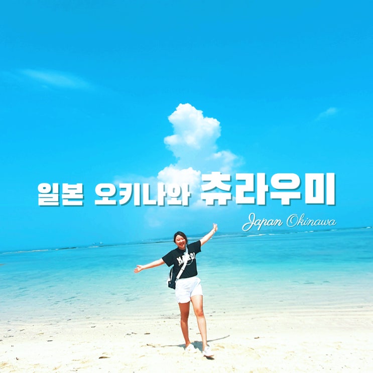  [일본여행·오키나와] 북부 츄라우미 수족관 -쿄다휴게소입장권할인·위치·돌고래쇼·에메랄드비치