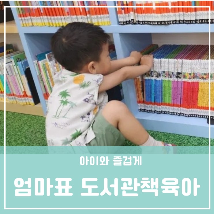 엄마표책육아 책과 친해지는 법 원신흥도서관 자연관찰책 선인장과 팬지 엄마표책육아 책과 친해지는 법 원신흥도서관 자연관찰책 선인장과 팬지