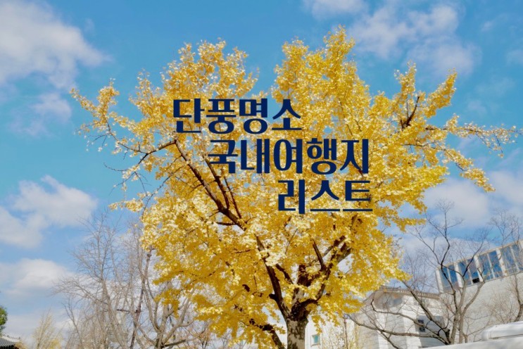 2023 단풍시기 10월 국내여행지 단풍축제 가볼만한곳 리스트 (서울 근교 포함 전국)