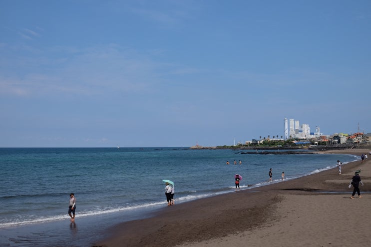 [제주 동쪽 여행] 제주시 가볼 만한 곳 삼양검은모래 해수욕장