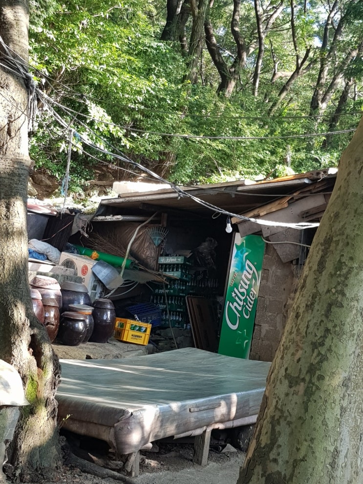 부산 만덕 오리불고기 맛집 박씨네 내돈내산 후기