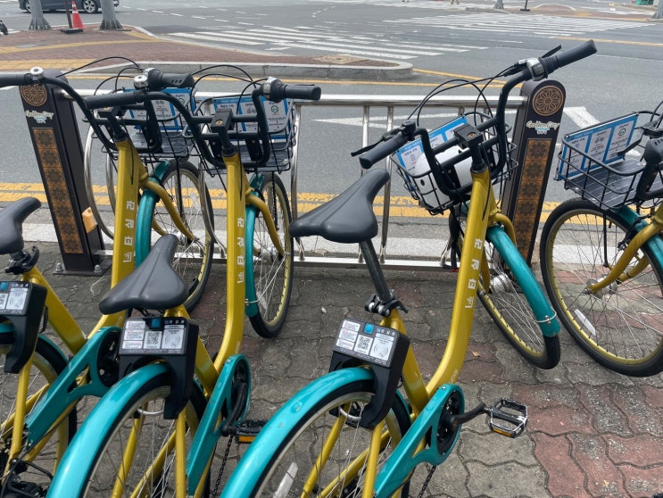  경주 충효동 나들이 초밥 먹고 폭포가 있는 대형 카페 방문