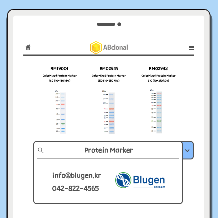 [제품] Protein Marker