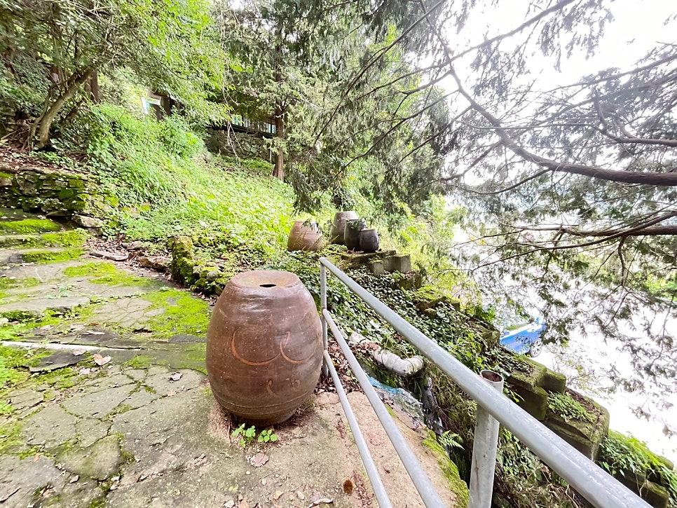 산닭농장 사진 3