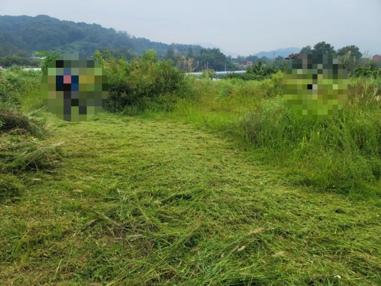  2023년 경상북도 김천시 대항면 덕전리 산소 1기 벌초 고인돌장묘개발장의사 #선산벌초 #구미벌초 #황간벌초 #영동벌초 #성주벌초 #상주벌초 #문경벌초 #칠곡벌초 #벌초대행 #벌초