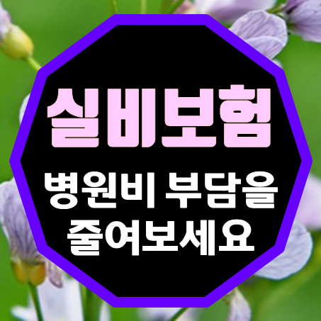  노인 의료비 부담을 줄이는 노후실비보험 가입 방법과 혜택