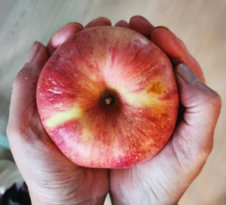 맛있는 과일배달해드리는 미아사거리과일 어글리농산물 맛있는 과일배달해드리는 미아사거리과일 어글리농산물