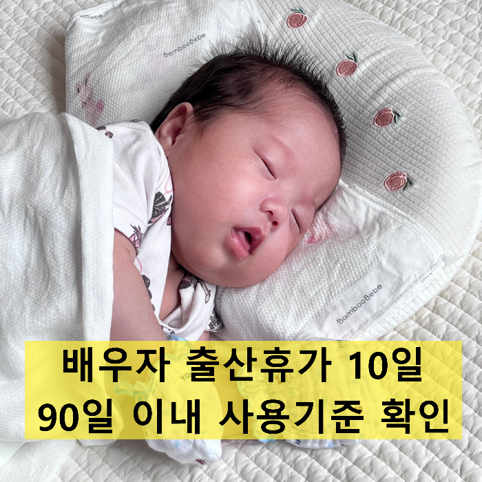  [고용노동부 질의 답변] 배우자 출산휴가 10일 사용 기준은 시작시점일까 종료시점일까