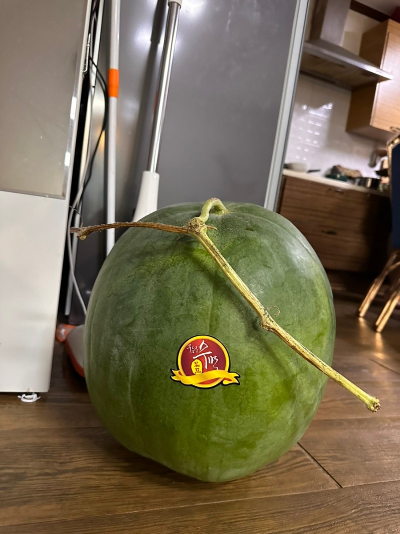 광주의 특산물 : 무등산 수박 실제 크기 및 가격과 맛(21kg 무등산 수박)