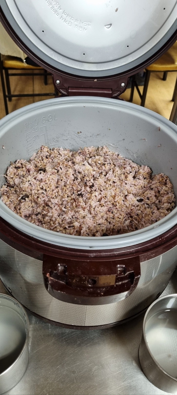 가야고기 사진 4