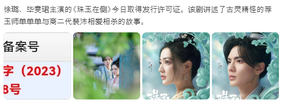  주옥재측(珠玉在侧) 방영 허가