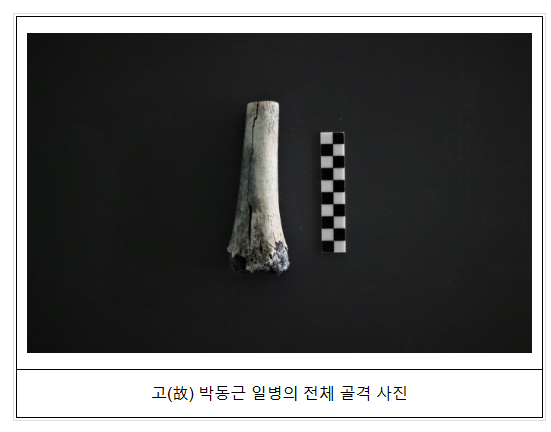 경북 포항 발굴 6.25전사자 유해 신원확인 경북 포항 발굴 6.25전사자 유해 신원확인