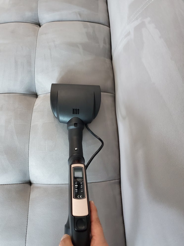  평택 소파청소 반려동물 털 제거 건식청소 다녀 왔어요
