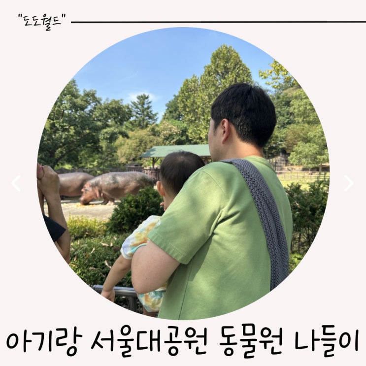  아기랑 가기 좋은 서울대공원 동물원 꿀팁