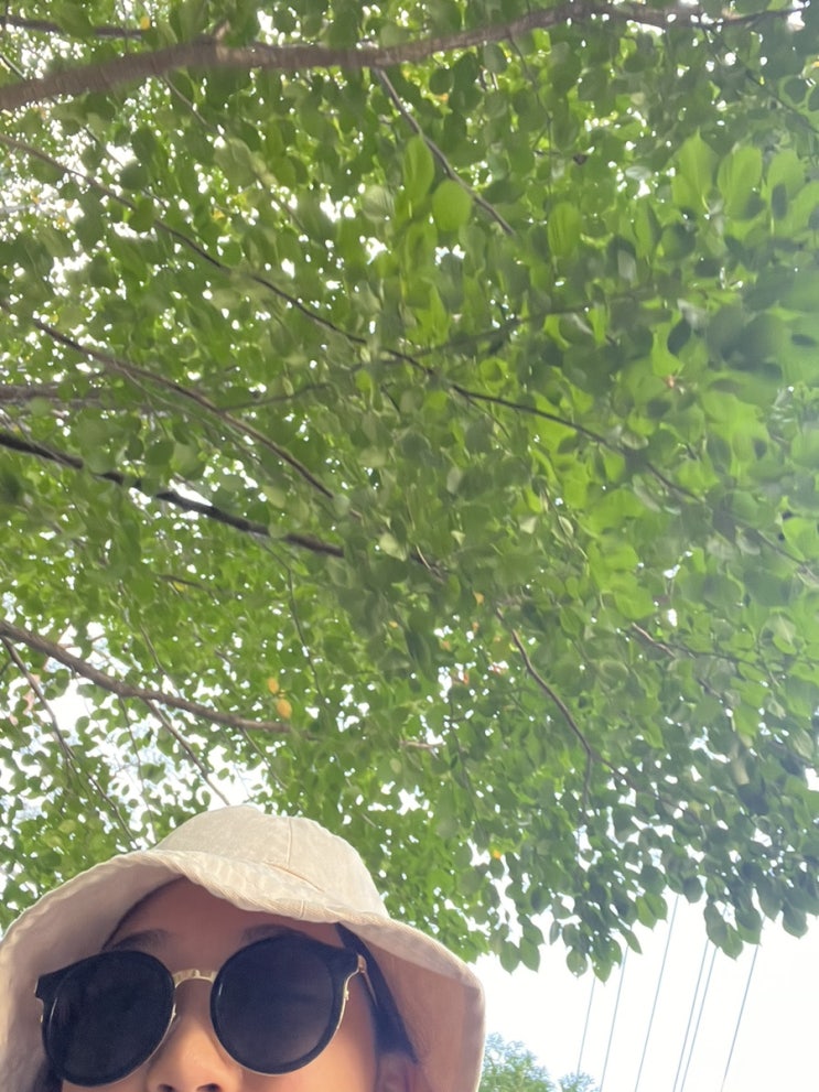  술먹고 안경 잃어버려서 스마일 라식을 하게 된 건에 대하여 ... / 스마일라식 솔직후기