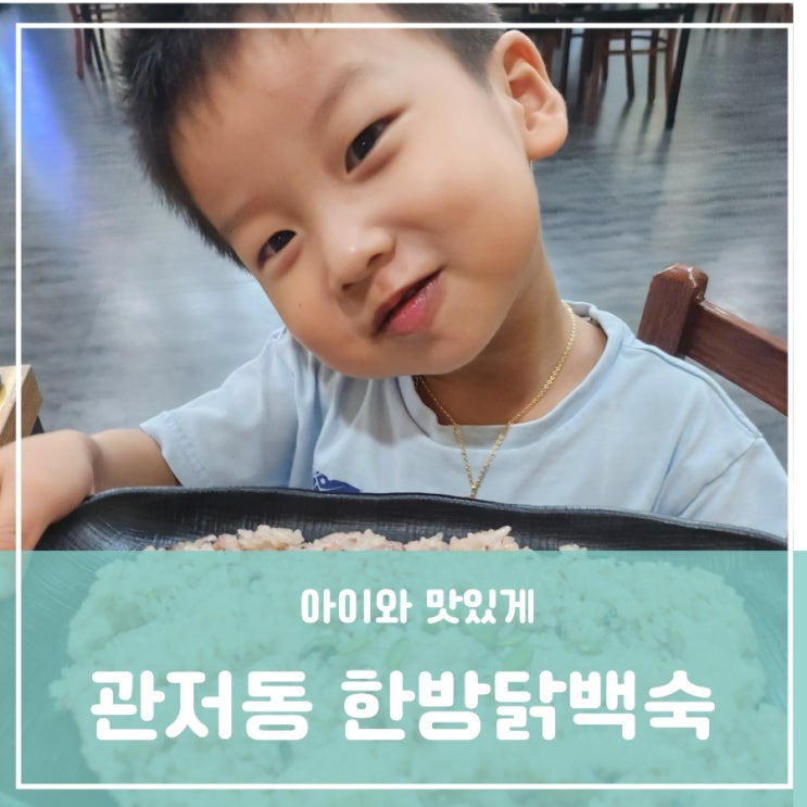 아이와 갈만한 식당 가족몸보신 토종닭으로 만든 한방백숙 서구 관저동 대전닭백숙맛집 관저닭집 계가 아이와 갈만한 식당 가족몸보신 토종닭으로 만든 한방백숙 서구 관저동 대전닭백숙맛집 관저닭집 계가