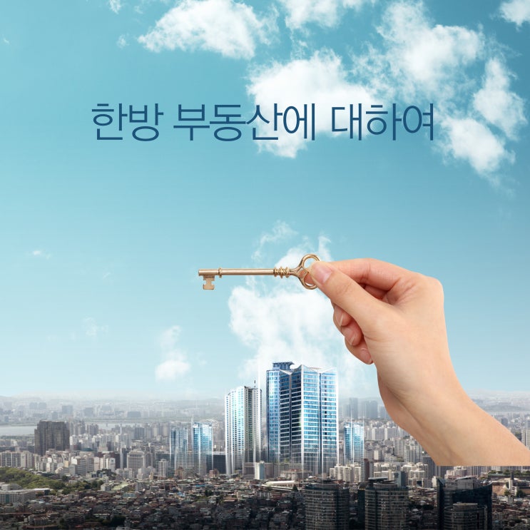 수 있는 <b>한방 부동산 거래 정보망</b>에 대하여 간략히 알아봅시다