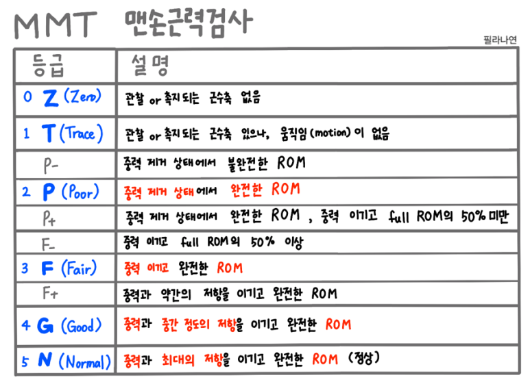 [검사] 맨손 근력 검사 (Manual Muscle Test, MMT) 판정기준 : 네이버 블로그
