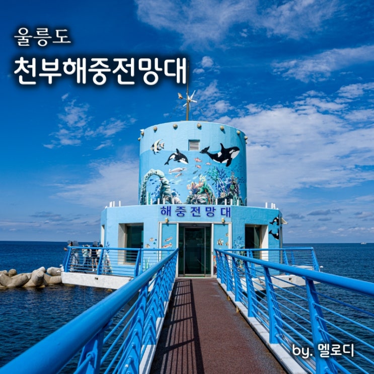  울릉도 관광지 천부해중전망대 바닷속 수족관