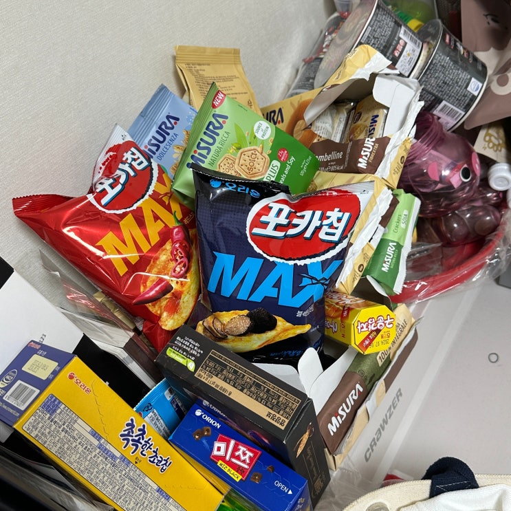  아는 돼지의 하루요~ㅣ230831