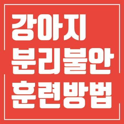  강아지 분리불안 훈련, 이렇게 한번 해보세요! 효과가 있을 거예요!