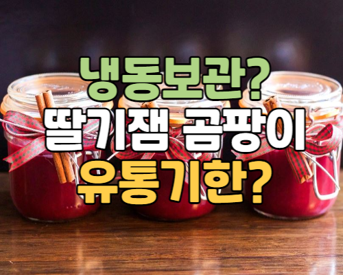 딸기잼 곰팡이 유통기한, 냉동보관 하면 얼어버리지 않나요?