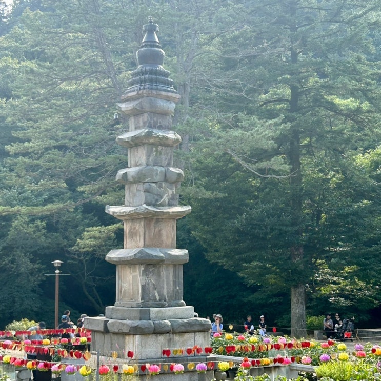  [충청도여행 2탄] 공주 밤메밀막국수 + 낙산사(+콩국수맛집, 부모님과 여행 추천)