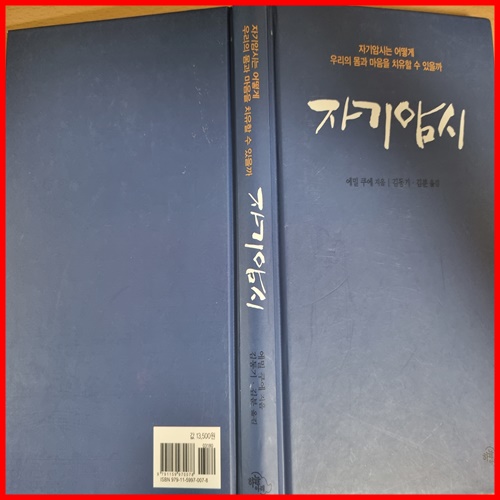  에밀쿠에의 자기암시 - 절대로 읽으면 안 되는 책
