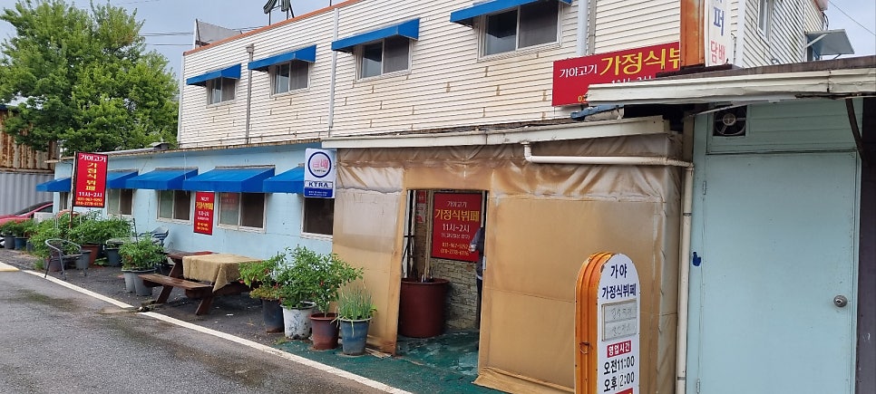 가야고기 사진 1