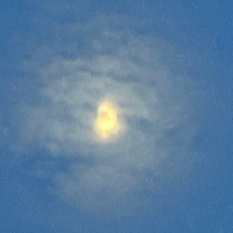  셤보고 야무지게 먹깅ㅣ230826