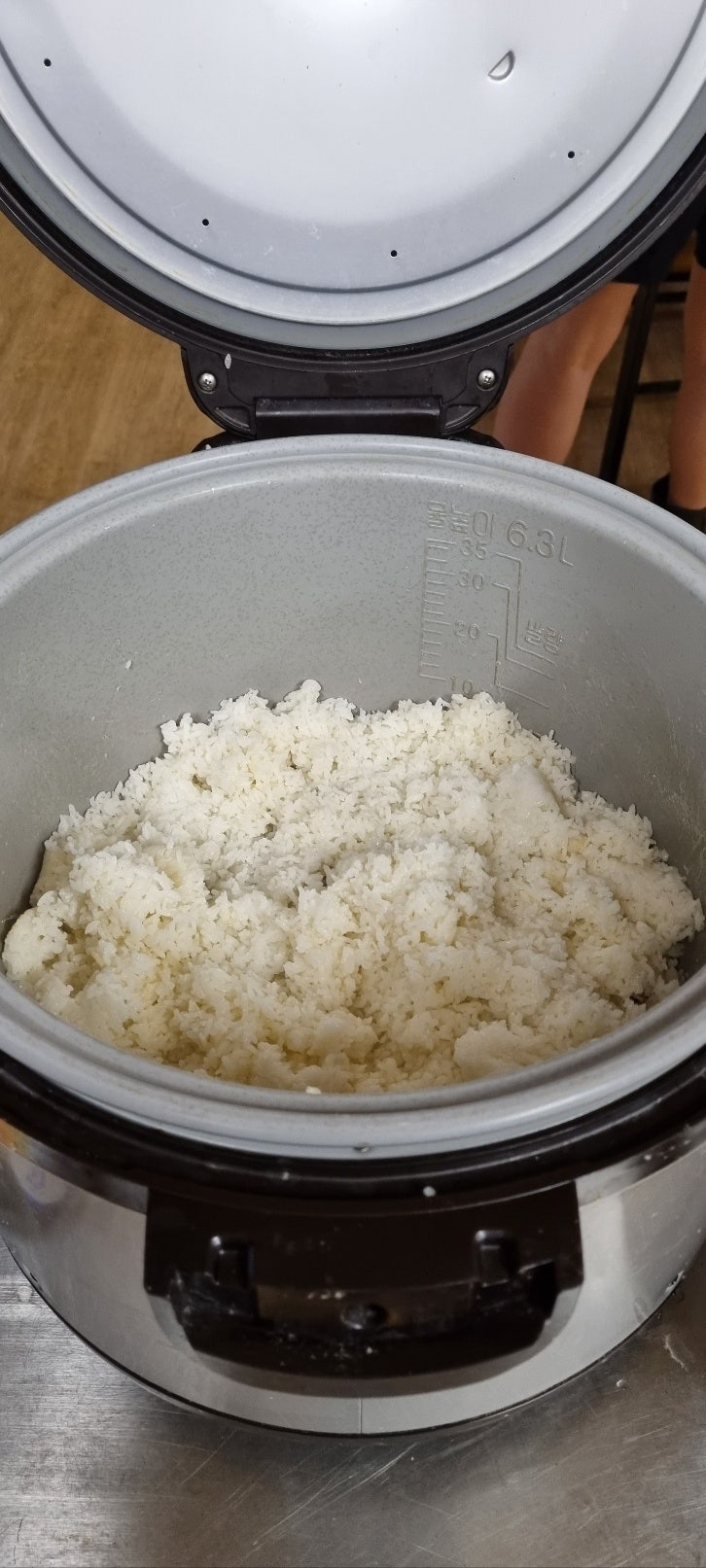 가야고기 사진 3