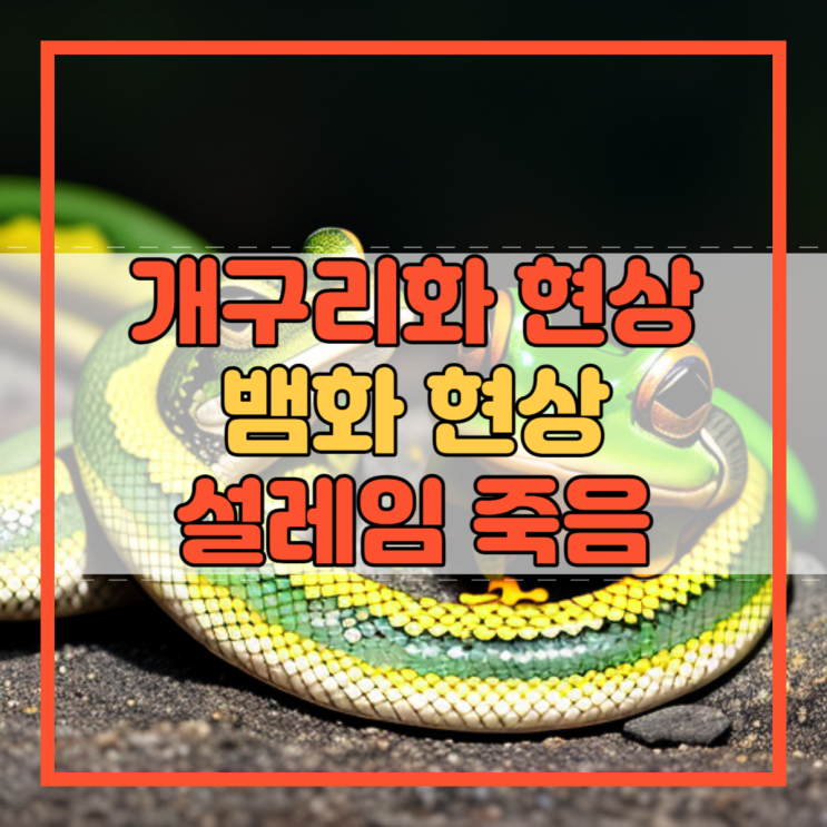  개구리화 현상 설레임 죽음 뱀화 현상은 뭘까요?