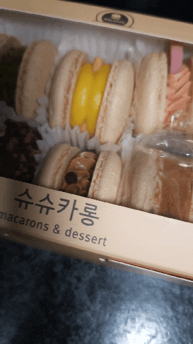 [대구 마카롱 맛집] 인생 마카롱을 만나다 "슈슈카롱"