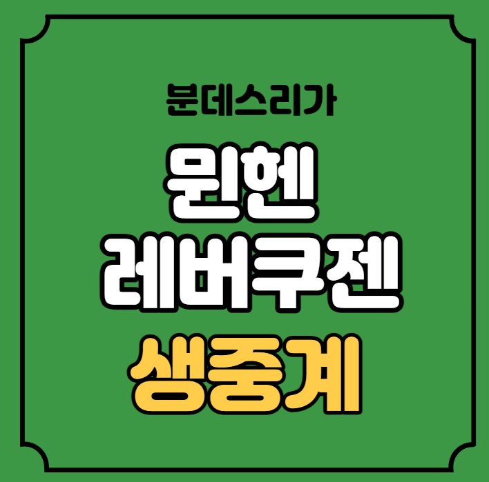 바이에른 <b>뮌헨</b> <b>레버쿠젠</b> 중계 <b>김민재</b> 선발 라인업 분데스리가... 