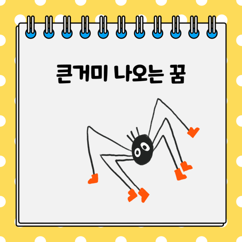 큰거미꿈 거미 나오는 죽이는 꿈해몽