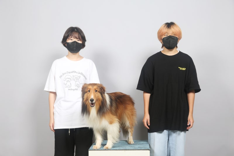 사진 5