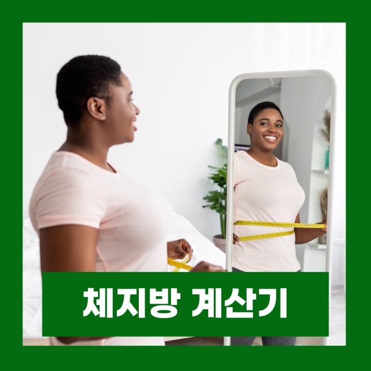  체지방 계산기 BMI 정확도 남자 여자 평균 체지방률 계산해보기