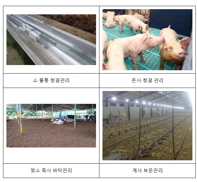 면역력 ‘뚝’ 환절기, 올바른 사양관리로 가축 건강 지켜야 면역력 ‘뚝’ 환절기, 올바른 사양관리로 가축 건강 지켜야