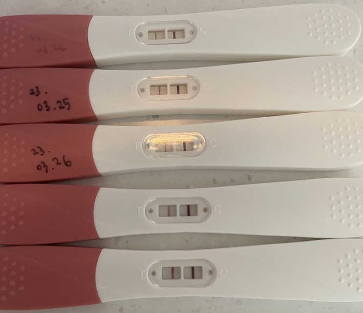  임신 초기(4~12주), 남편이 해야 할 것 / 알아야 할 것 (주수 계산, 임신테스트기, 산후조리원 등)