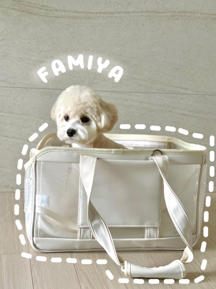 파미야  초경량 메시가방 가벼운 강아지 이동가방