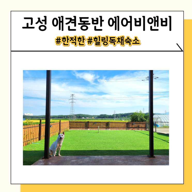 12kg 진돗개와 강원도 고성 애견동반 숙소 에어비앤비 12kg 진돗개와 강원도 고성 애견동반 숙소 에어비앤비