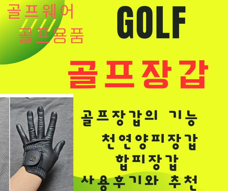 골프웨어 골프용품 브렌스 남녀 골프장갑 내돈내산 사용 후기와 골프장갑의  목적  기능 소재  호수  색깔에  대하여